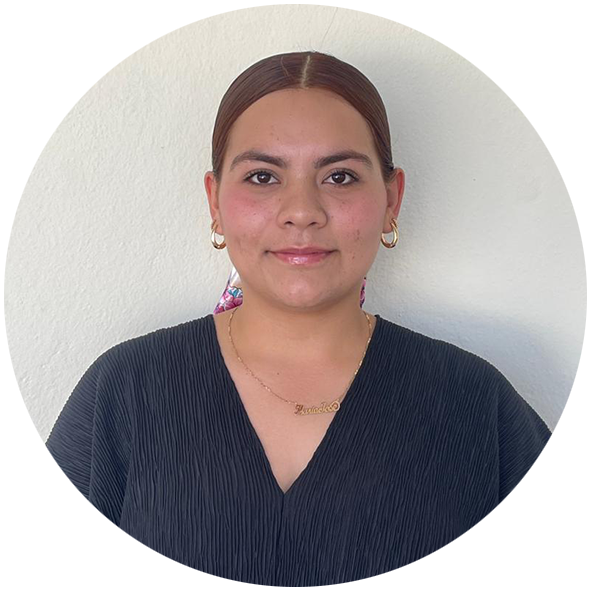 instituto de la juventud